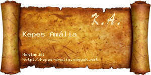 Kepes Amália névjegykártya